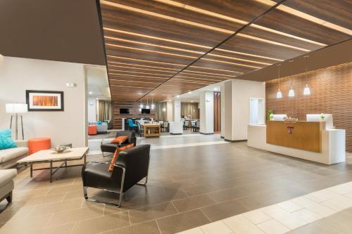 Wingate by Wyndham Lubbock - image 8