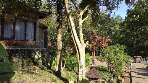 Mi Casa - The gem of Ijen Room Type - Suite with River View