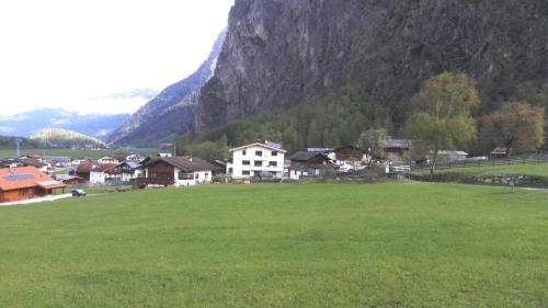 Alps 3000-1