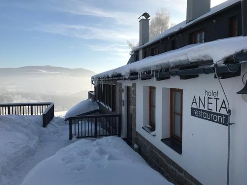 Aneta Hotel & Restaurant - image 8