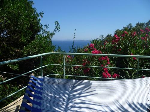 Villa du Bau Rouge - Accommodation - Carqueiranne