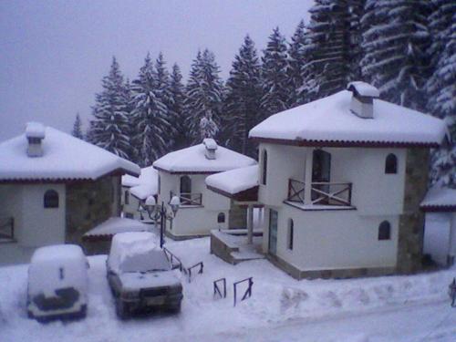 Snow White's Secret Chalet in the Forest