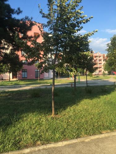 Apartment - Ground Floor