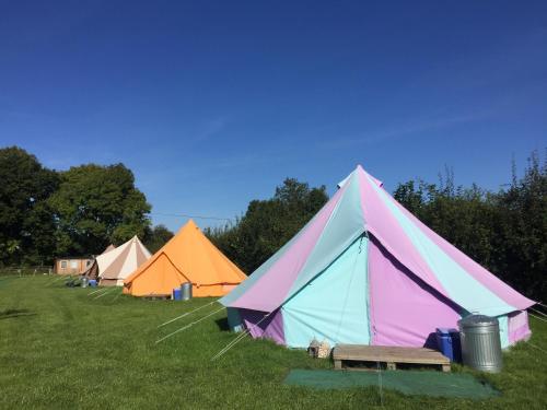 Botany Camping, , Wiltshire