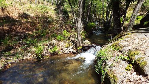 Hotel Rural El Camino - image 6
