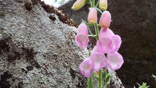 Hotel Rural El Camino - image 10