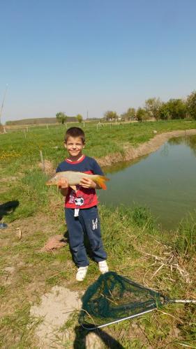  Kápolnás Vendégház in Báta