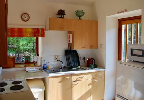 مطبخ, Green Hope Guest House in ايلمفورد