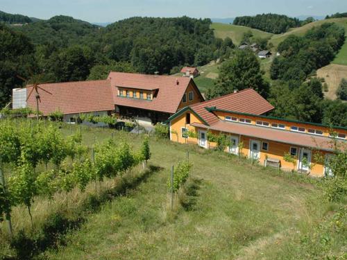 Weingut Schatz