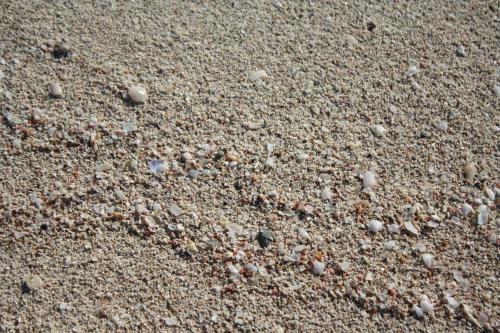 Hotel Riva Del Sole - main image