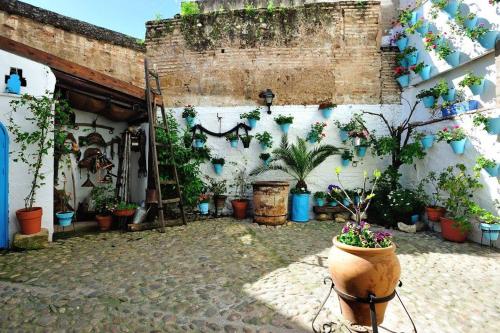  De Patios in Córdoba