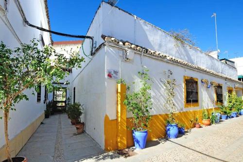 De Patios, Córdoba (foto 8)
