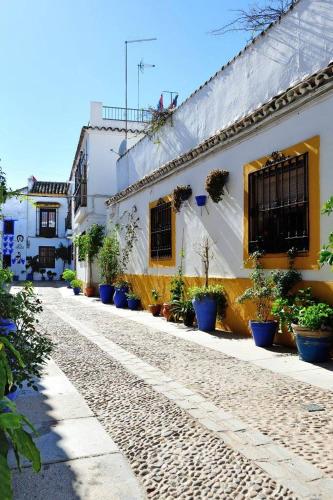 De Patios, Córdoba (foto 10)