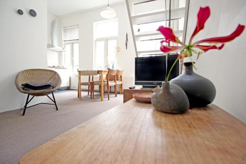 Beautiful 2 floor Vondelpark apartment., Amsterdam (photo 2)