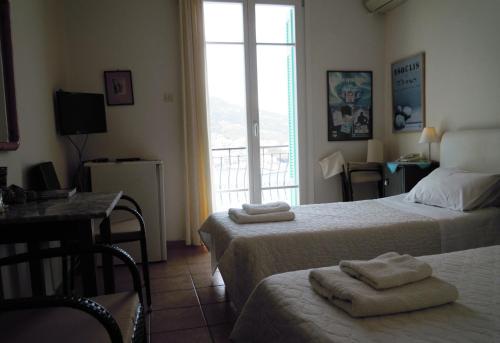 Blue Dolphin - image 4