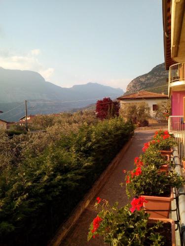 B&B agli Ulivi 5