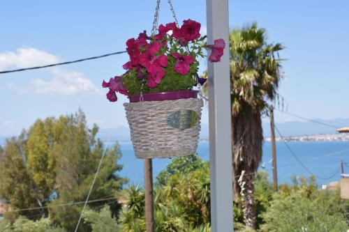 Studio Holiday Kalamata