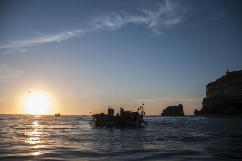 Gaivota Holidays - image 5