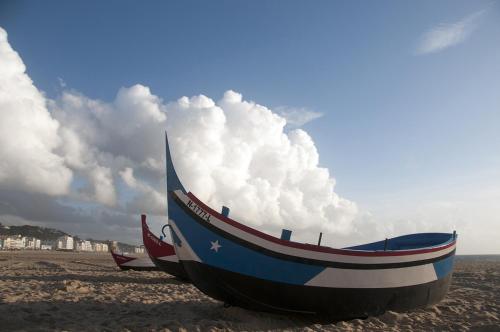 Gaivota Holidays - image 6