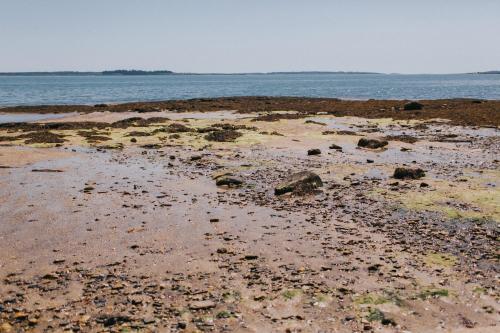 96044824 Chebeague Island Inn
