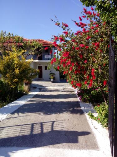  Athina apartments in Argassi