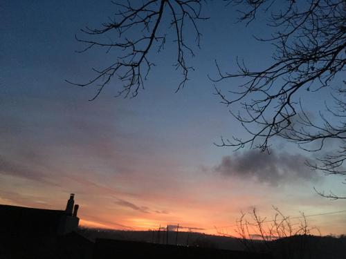Vine Cottage - image 13