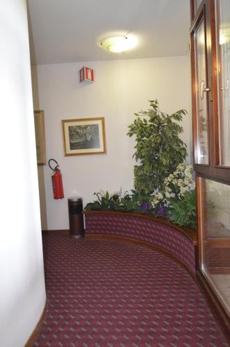 Hotel Magnolia - image 8