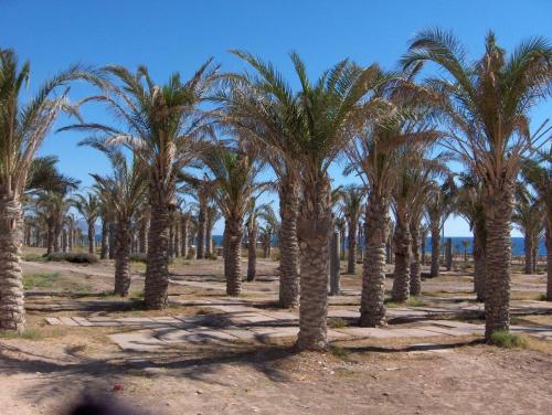 Golf y playa junto al Cabo de Gata