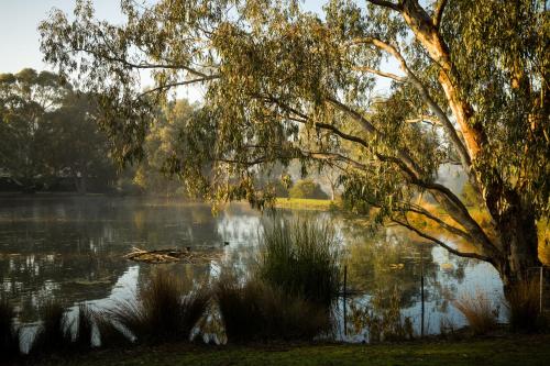 The Burrow at Wombat Bend