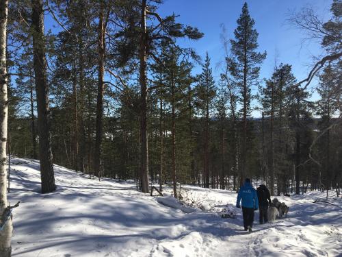 Ylläksen Yöpuu - image 14