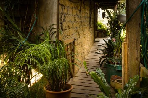 The Burrow at Wombat Bend - 정원