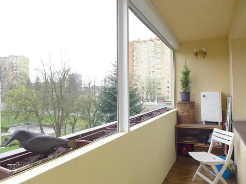Krakow Studio Pradnik