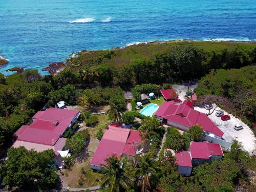 La Rose du Bresil Marie-Galante - Hôtel - Capesterre-de-Marie-Galante