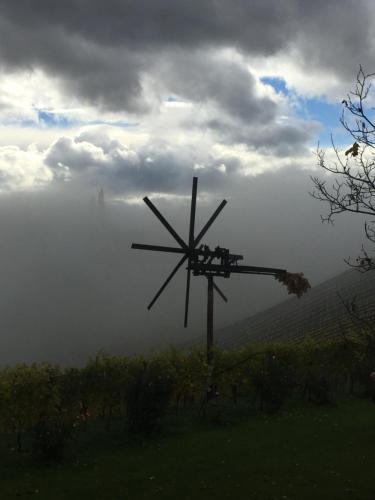 Zweytick Gästezimmer Weingut