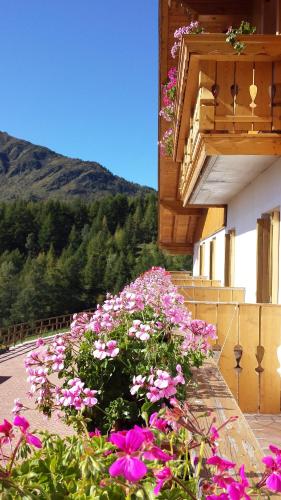 Terrazzo/balcone, Belvedere Mountain Experience in Monno