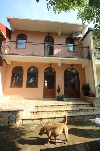 B&B Virpazar - Apartments Olga - Bed and Breakfast Virpazar