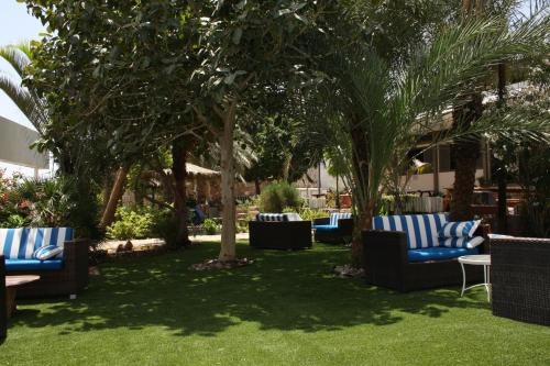 Jardín, Arava Hostel in Eilat