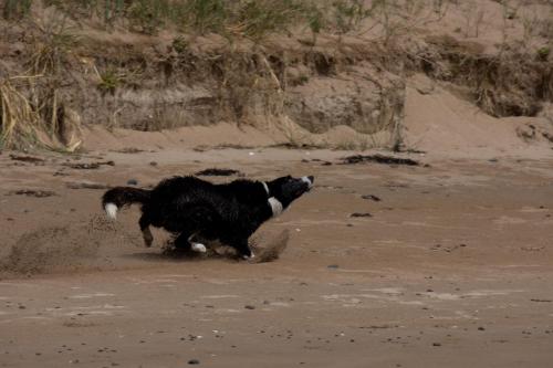 @ the beach & not quite @ the beach Holiday Cottages - Stanley