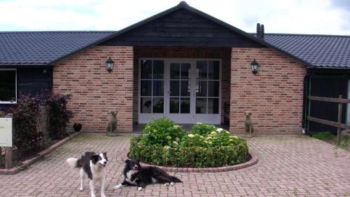 De Turfstaeker - image 4
