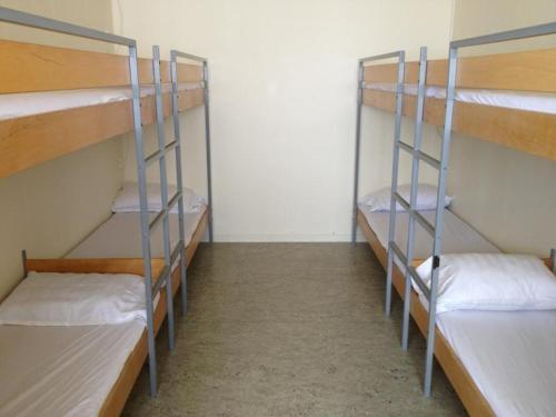 Bunk Bed in Mixed Dormitory Room