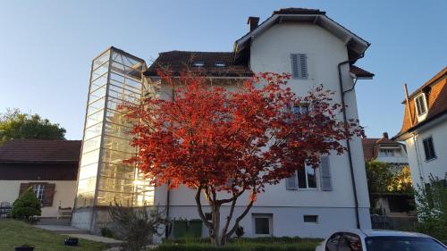 Casa Carmela - Solothurn