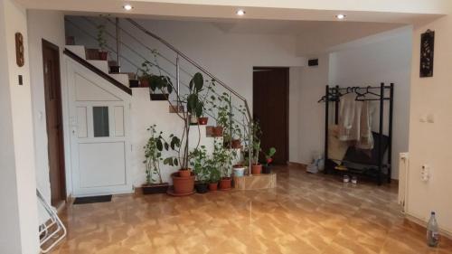 Casa Adina - image 11