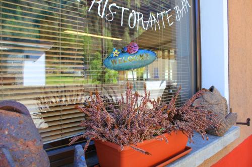 Hotel Ristorante Baldi - image 12