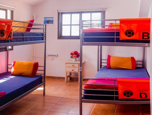 La Tortuga Hostel 2