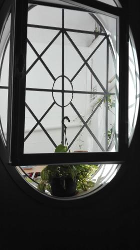 Demetra Rooms, Palermo (fotografie 6)