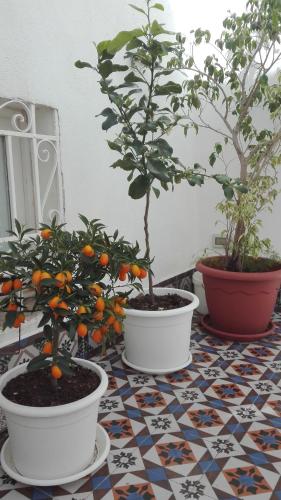Demetra Rooms, Palermo (fotografie 7)