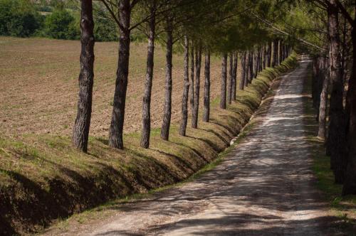 Agriturismo La Pieve