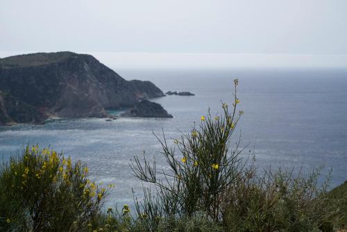 Panas Hotel - image 11