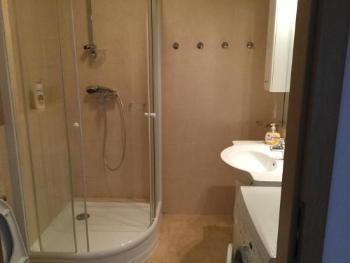 Apartament VIP Vęgoria