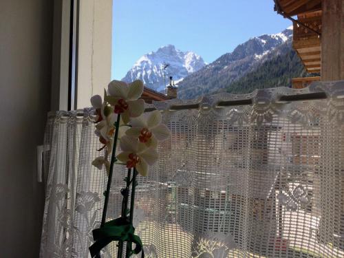  Garnì Serena in Canazei